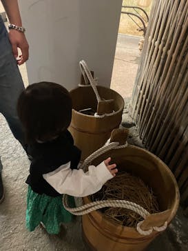 滋賀県立琵琶湖博物館に投稿された画像（2025/4/6）