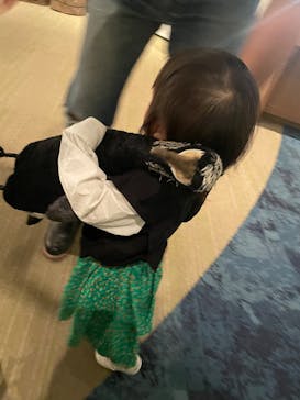 滋賀県立琵琶湖博物館に投稿された画像（2025/4/6）