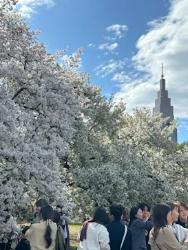 新宿御苑に投稿された画像（2025/4/6）