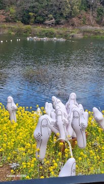 ムーミンバレーパークに投稿された画像（2025/4/6）