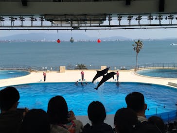 マリンワールド海の中道に投稿された画像（2025/4/4）