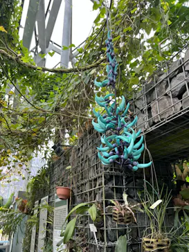 新宿御苑に投稿された画像（2025/4/6）
