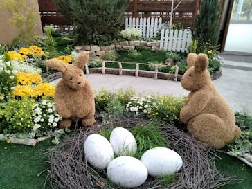 安城産業文化公園デンパークに投稿された画像（2025/4/6）