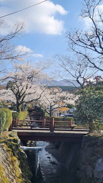 阿蘇カドリー・ドミニオンに投稿された画像（2025/4/6）