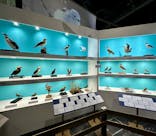 特別展「鳥～ゲノム解析が解き明かす新しい鳥類の系統～」に投稿された画像（2025/4/6）