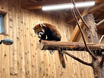 伊豆シャボテン動物公園に投稿された画像（2025/4/6）