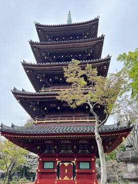 恩賜上野動物園に投稿された画像（2025/4/6）