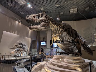 国立科学博物館に投稿された画像（2025/4/6）