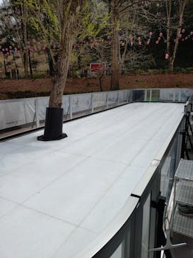 ムーミンバレーパークに投稿された画像（2025/4/6）