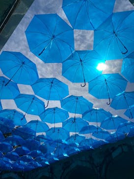 野外民族博物館 リトルワールドに投稿された画像（2025/4/6）