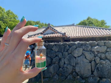 野外民族博物館 リトルワールドに投稿された画像（2025/4/6）