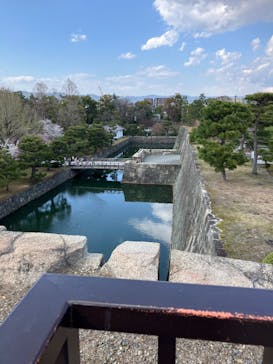 元離宮二条城に投稿された画像（2025/4/6）