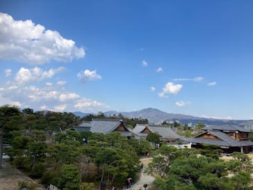 元離宮二条城に投稿された画像（2025/4/6）