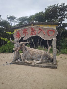 西表島 ADVENTURE PiPi（アドベンチャーピピ）に投稿された画像（2025/4/6）