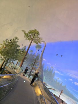 福井県立恐竜博物館に投稿された画像（2025/4/6）