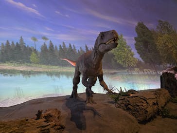 福井県立恐竜博物館に投稿された画像（2025/4/6）