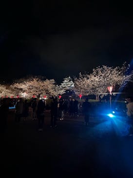 大阪城公園 西の丸庭園に投稿された画像（2025/4/6）