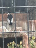 天王寺動物園に投稿された画像（2025/4/6）