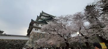 名古屋城に投稿された画像（2025/4/6）