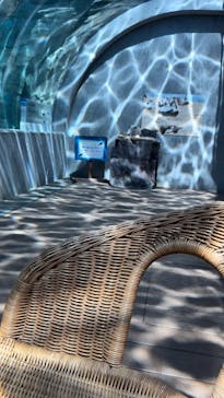 九十九島動植物園森きららに投稿された画像（2025/4/6）