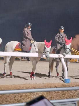 東京メガイルミに投稿された画像（2025/4/6）