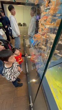 国立科学博物館に投稿された画像（2025/4/6）