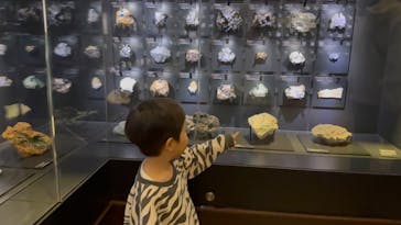 国立科学博物館に投稿された画像（2025/4/6）