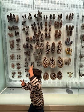 国立科学博物館に投稿された画像（2025/4/6）