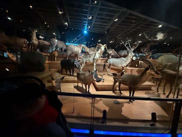 国立科学博物館に投稿された画像（2025/4/6）