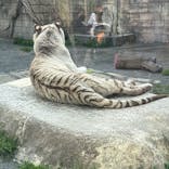 東武動物公園に投稿された画像（2025/4/6）