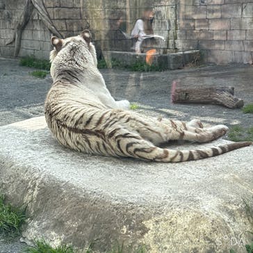 東武動物公園に投稿された画像（2025/4/6）