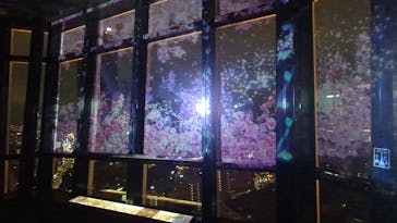 東京タワーに投稿された画像（2025/4/6）