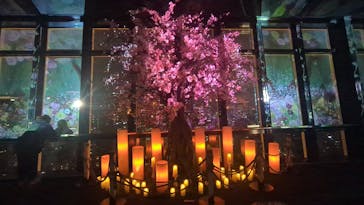 東京タワーに投稿された画像（2025/4/6）