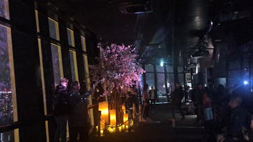 東京タワーに投稿された画像（2025/4/6）