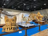 福井県立恐竜博物館に投稿された画像（2025/4/6）