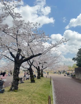 万博記念公園に投稿された画像（2025/4/6）