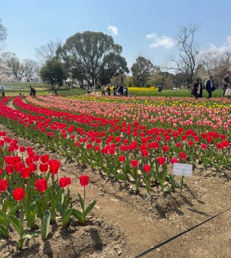 万博記念公園に投稿された画像（2025/4/6）