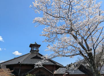 博物館 明治村に投稿された画像（2025/4/6）