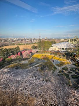 東武動物公園に投稿された画像（2025/4/6）