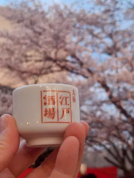 【嵐山から約15分！】太秦映画村に投稿された画像（2025/4/6）