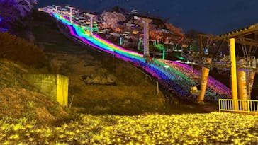 さがみ湖MORI MORIに投稿された画像（2025/4/6）