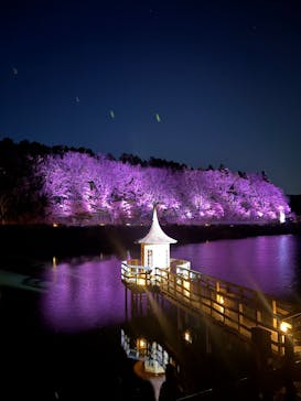 ムーミンバレーパークに投稿された画像（2025/4/6）