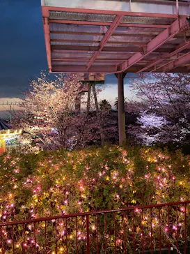 ひらかたパークに投稿された画像（2025/4/6）