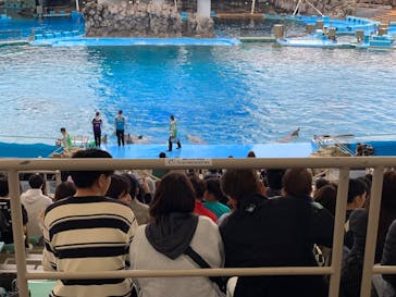 名古屋港水族館に投稿された画像（2025/4/6）