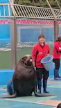 ゼロ距離水族館 伊勢シーパラダイスに投稿された画像（2025/4/7）