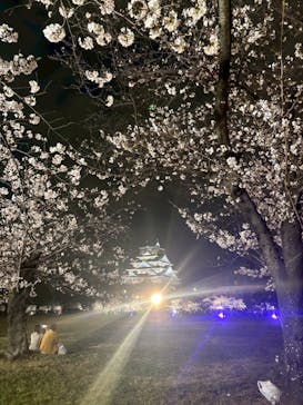 大阪城公園 西の丸庭園に投稿された画像（2025/4/6）