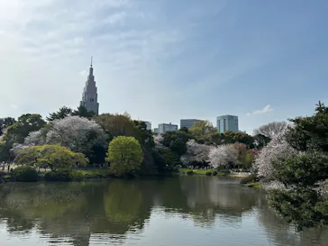 新宿御苑に投稿された画像（2025/4/6）