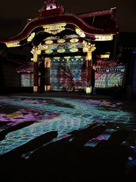 NAKED meets 二条城 2025 観月に投稿された画像（2025/4/6）