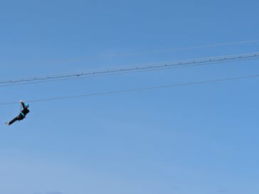 伊豆ぐらんぱる公園に投稿された画像（2025/4/6）