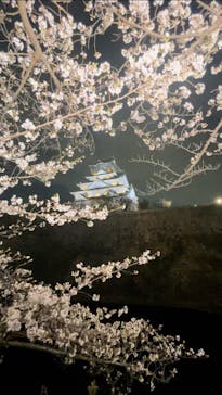 大阪城公園 西の丸庭園に投稿された画像（2025/4/7）